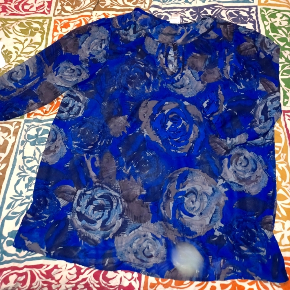 Thin long sleeve blouse